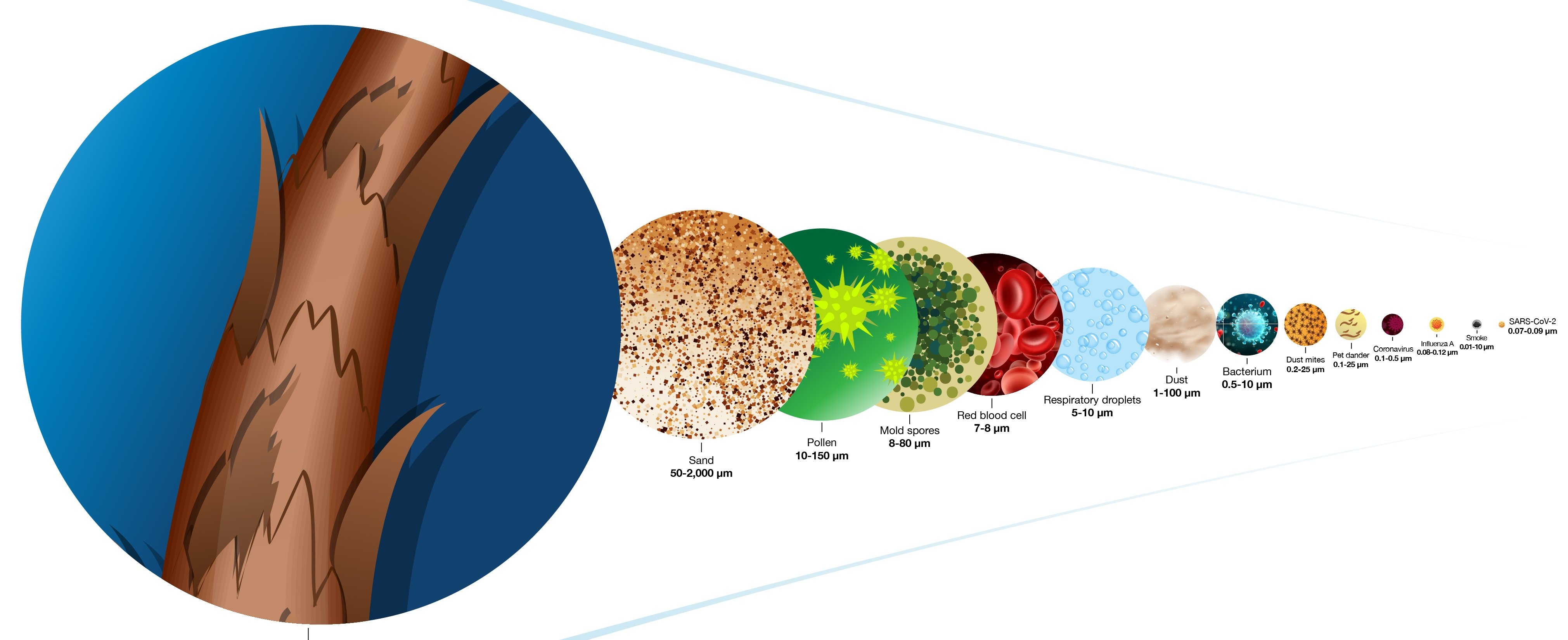 2247_Particle Size Matters_A+ content_Infographic_UPDATE_VFIN-1